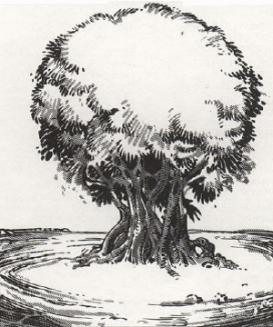 Alchemy Plant
