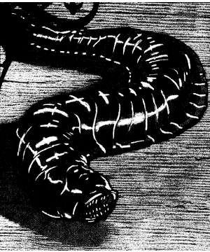 Leech, Psionic