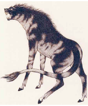 Leucrotta, Greater