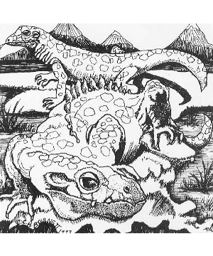 Lizard, Tundra
