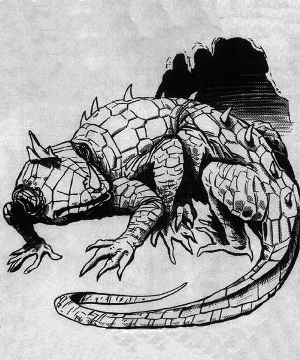 Rhaumbusun